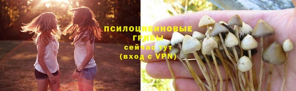 спиды Верея