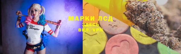 СК Рославль