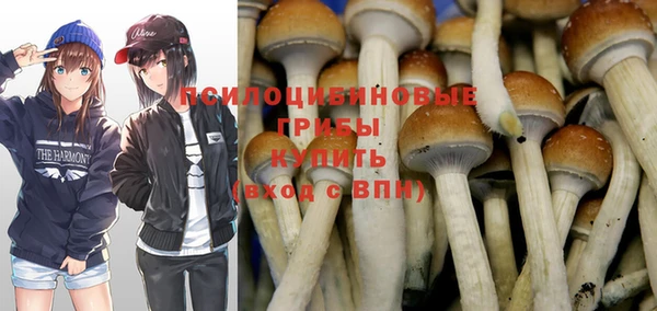 спиды Верея