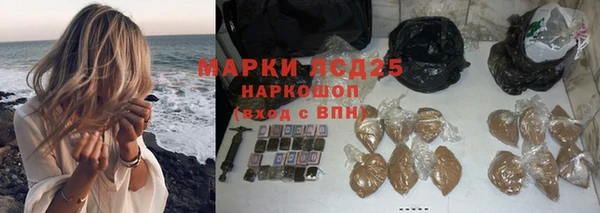 спиды Верея