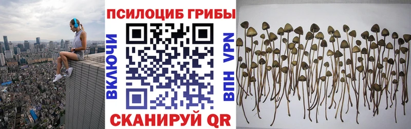 Псилоцибиновые грибы Psilocybe Лобня